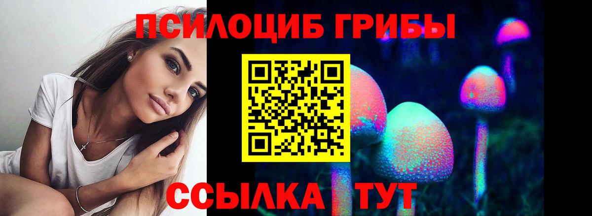 купить наркотик  Псилоцибиновые грибы Cubensis  Вход с VPN  Псилоцибиновые грибы прущие грибы  Лангепас 